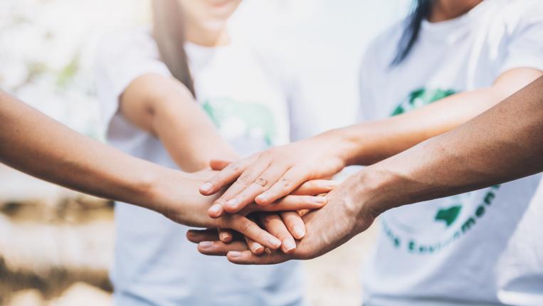 Dia Internacional do Voluntariado IMG